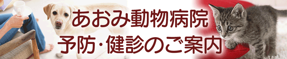 あおみ動物病院施設案内