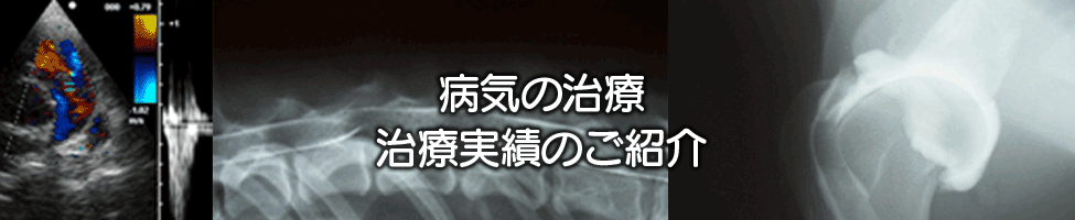 新着情報