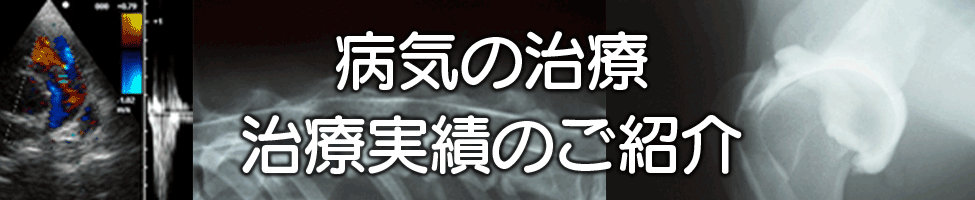 新着情報