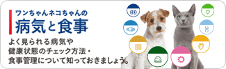 royalcaninへ