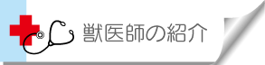 獣医師の紹介