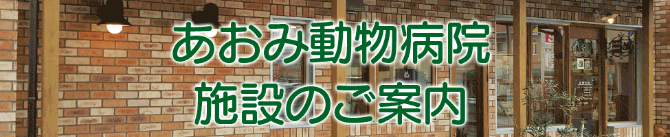 あおみ動物病院施設案内